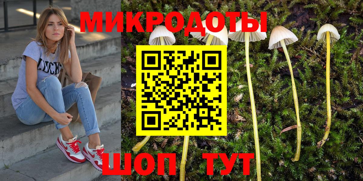 купить наркотики цена  Галлюциногенные грибы MAGIC MUSHROOMS  Вход с VPN  Ногинск 